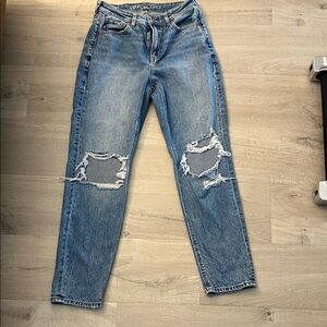American Eagle Outfitters Light Blue Distressed Straight Leg Jeans